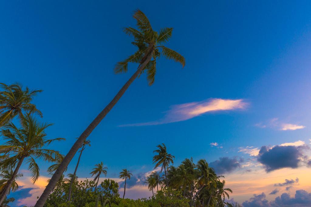 Sabba Summer Suite , Fodhdhoo - Maldives מראה חיצוני תמונה